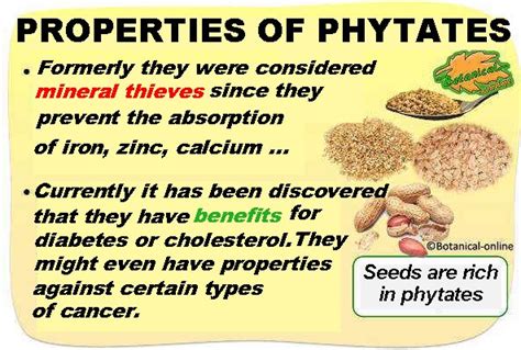 Properties Of Phytates Botanical Online