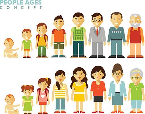 Royalty Free Human Age Clip Art Vector Images And Illustrations Istock