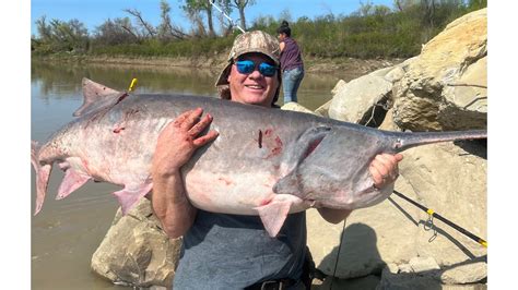 6 Paddlefish Caught In The Missouri And Yellowstone Rivers Youtube