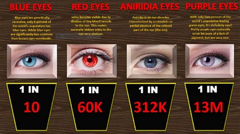 Probability Comparison Human Eye Colors Rarest Eyes Colours YouTube