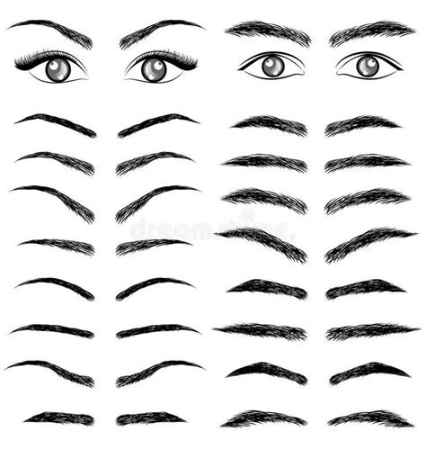 Different Eyebrow Styles Eyebrows Sketch Eyebrow Design Eye Drawing