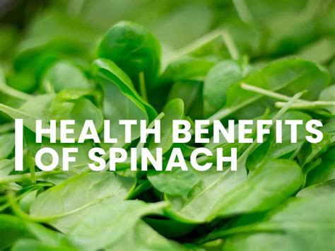 Spinach Nutrition Health Benefits And Recipe Boldsky Com
