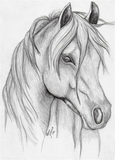 Horse Sketch Lindos Desenhos A Lápis Desenhos De Animais Realistas