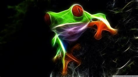 Froggy Wallpaper 62 Images