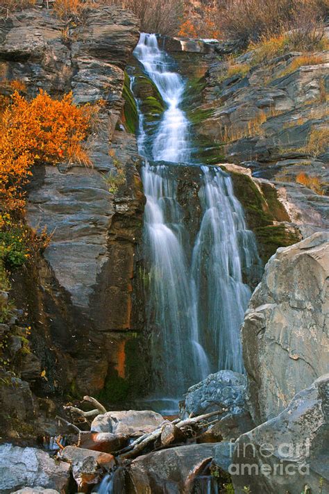 Aspen Grove Falls 1 Photograph By John Nichols Fine Art America