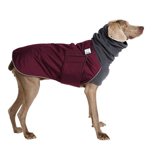 Weimaraner Winter Dog Coat Winter Coat Winter Clothes Etsy Dog