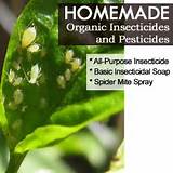 Pictures of Organic Vegetable Pest Spray