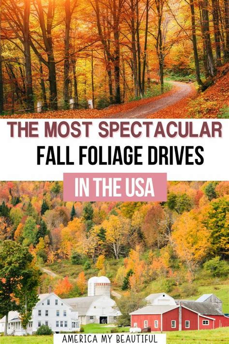 Best Fall Foliage Road Trips In The Usa America My Beautiful Fall