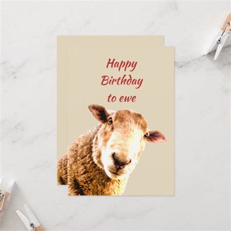 Happy Birthday Ewe Sheep Animal Humor Card Ad Advertisement Sheep