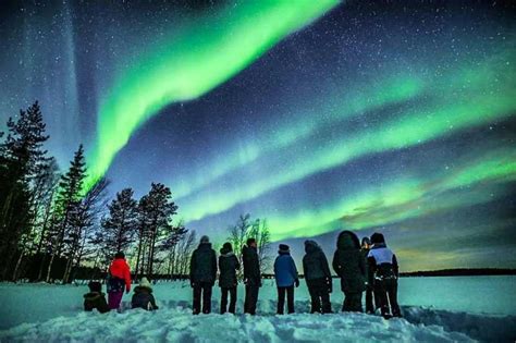 Lapponia Tour A Caccia Dell Aurora Boreale Con Grigliata Da Rovaniemi Getyourguide