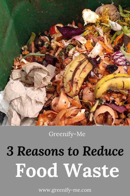 3 Reasons To Reduce Food Waste Greenify Me