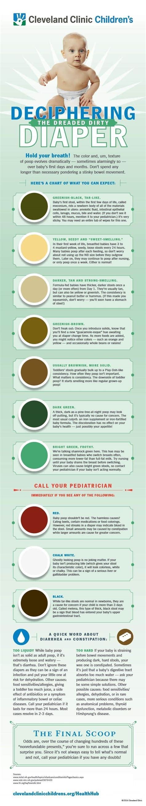Dark Green Poop Adults Causes