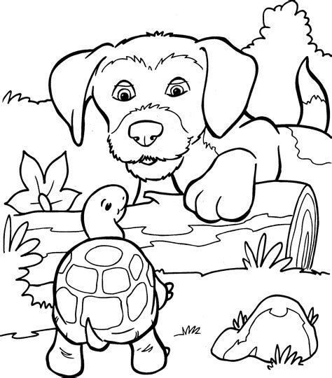 Dieren kleurplaten klik op één van de tekeningen om hem in het groot te zien. Hond en schildpad kleurplaat - Kleurplaatje.nl