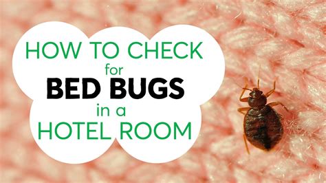 How To Avoid Getting Bed Bugs From A Hotel Bed Western