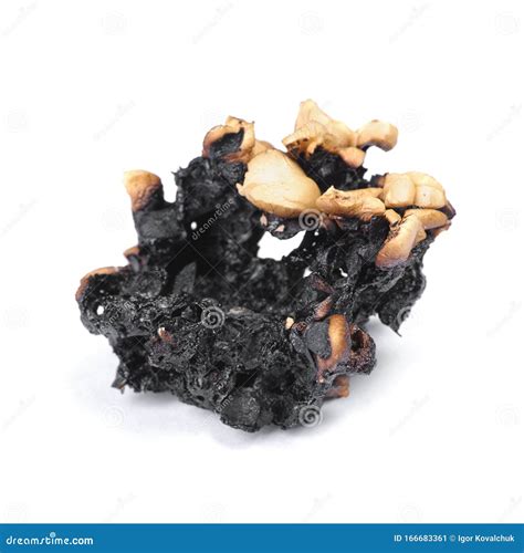 Burnt popcorn kernel stock image. Image of heat, crust - 166683361