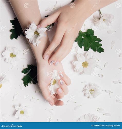 Beautiful Female Hands Stock Photo Image Of Cream Lady 128965598