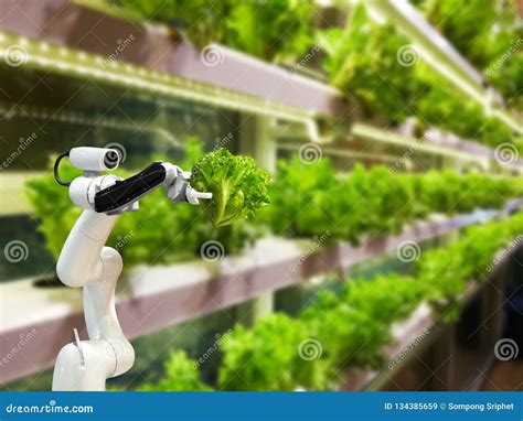 Smart Robotic Farmers In Agriculture Futuristic Robot Automation Stock