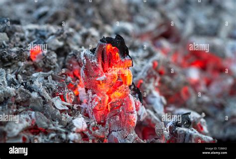 Glowing Embers Are Seen Inside A Hot Ash Pile From Burning Wood Stock
