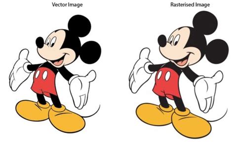 Beginners Guide To Bitmap Images And Vector Graphics In Photoshop