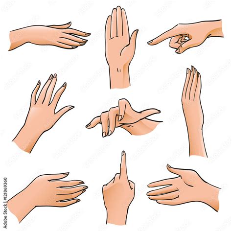 Set Of Hands And Fingers In Different Positions And Gestures Body Part