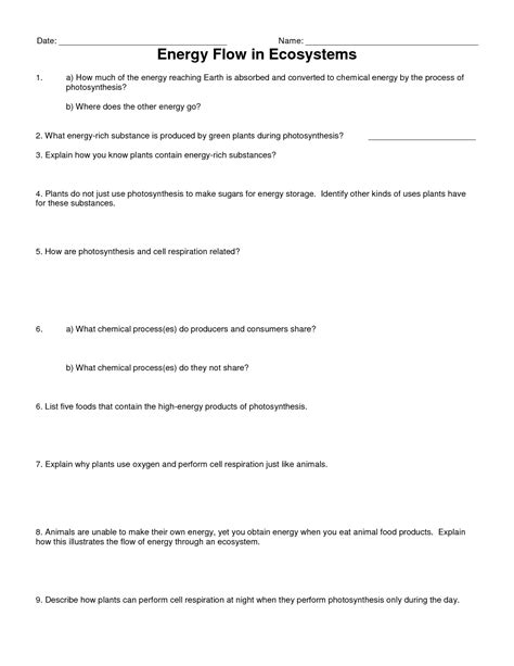 11 Best Images Of Energy Flow In Ecosystems Worksheet Answers Food
