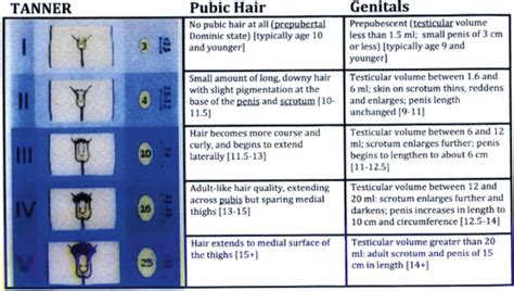 pediatric urology journal of urology