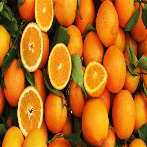 Citrus Fruit Fresh Honey Orangessouth Africa Price Supplier 21food