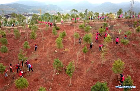 National Tree Planting Day Marked In China Cn