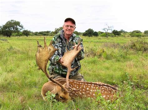 Fallow Deer Hunting 60 Species 18000 Acres In Texas Ox Ranch