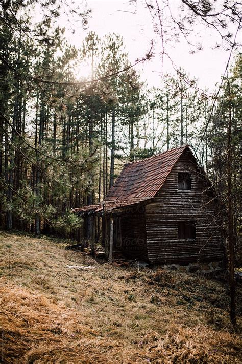 Old Wooden Cabin In The Forest By Stocksy Contributor Boris