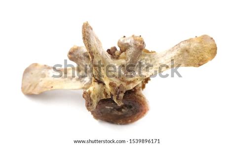 Animal Vertebral Bones Isolated On White Stock Photo 1539896171