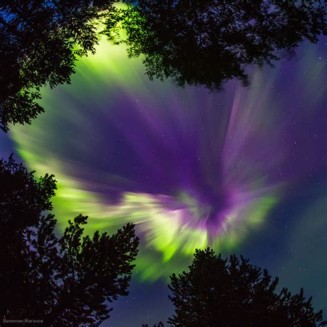 Northern Lights In The Sky Over Murmansk Region · Russia
