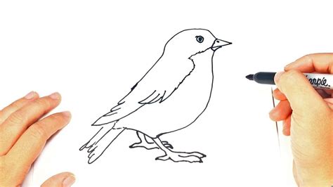 Mobile appsmobile apps picsartphoto & video editorphoto & video editor picsart animatorgif & videogif & video picsart colorpaintpainting, drawing & sketchpainting, drawing & sketch see all. How to draw a Bird | Bird Easy Draw Tutorial - YouTube