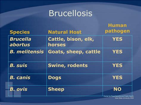 Ppt Zoonotic Diseases Connections Between Animal And Human Health