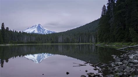 Download Wallpaper 3840x2160 Lake Forest Mountain Peak Landscape 4k