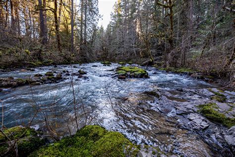 Cavitt Creek Falls Recreation Site Cavitt Creek Flows Thro Flickr