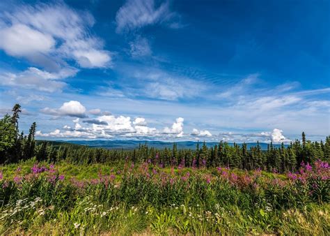 Visit Fairbanks On A Trip To Alaska Audley Travel