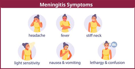 Meningitis Types Symptoms And Treatments Id Care Infectious