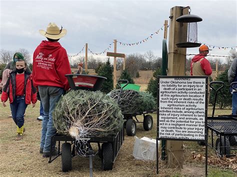Bristow Christmas Tree Farm Thrives On The Old Fashioned Christmas