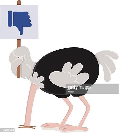 Ostrich Stock Illustrations And Cartoons Getty Images