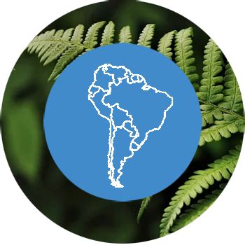 De bedreiging van het Amazone-regenwoud - v456 - Lesmateriaal - Wikiwijs