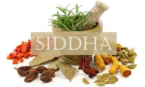 Verify Effectiveness Of Siddha In Covid Treatment Madras Hc To Centre