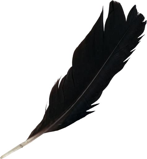 7 Feathers Png Transparent