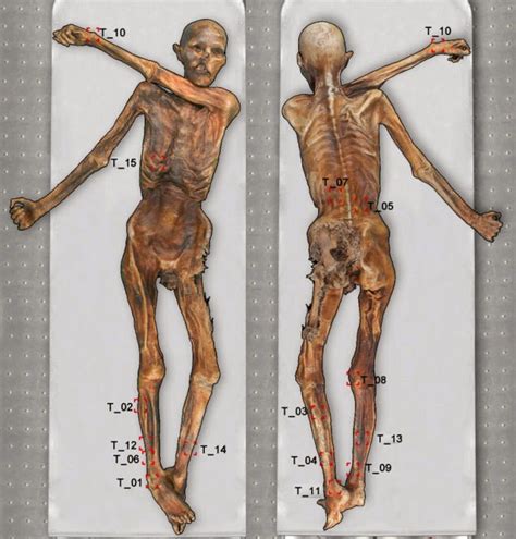 TYWKIWDBI Tai Wiki Widbee Ötzi s tattoos