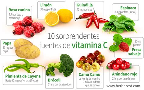 10 Sorprendentes Fuentes De Vitamina C Herbazest