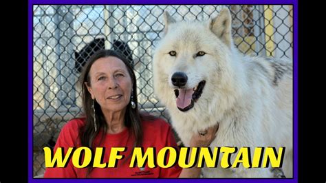 Wolf Mountain Sanctuary Youtube