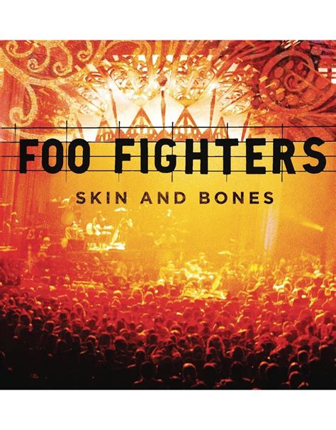 Foo Fighters Skin And Bones Vinyl Pop Music