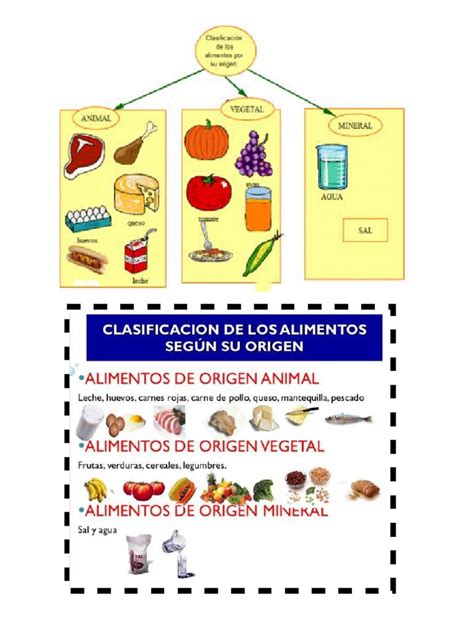 Alimentos De Origen Animal Vegetal Y Mineral Pdf