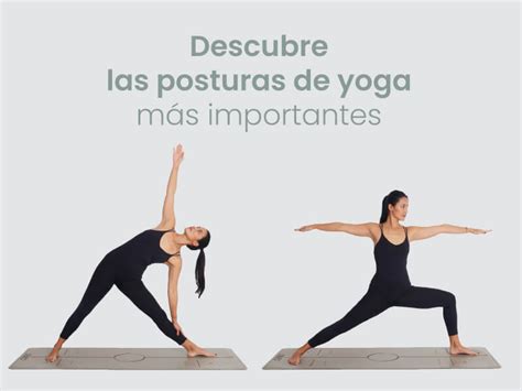 Las 42 Posturas De Yoga Más Importantes Xuan Lan Yoga