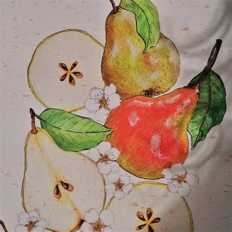 Print A4 Pears Aesthetic Print Illustration Pear Fruit Etsy